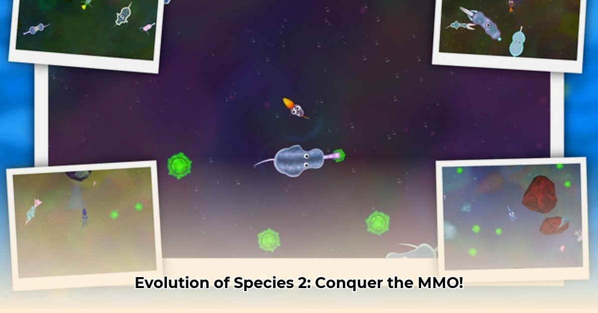 evolution-of-species-2